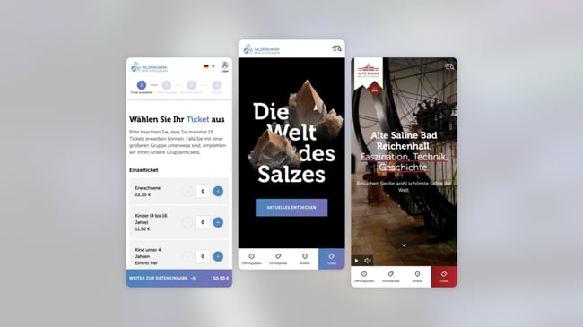 New digital touchpoints for the Salt Mine and Old Saltworks: Optimized Website with Online Ticket Shop